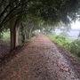 Karnataka Rains: ಕರ್ನಾಟಕದಲ್ಲಿ ಮುಂದಿನ 6 ದಿನ ಉಂಟು ಮಳೆ, ಇಂದು, ನಾಳೆ ಮಳೆಯಬ್ಬರ ಜೋರು, ಕೊಡಗಿನಲ್ಲಿ ರೆಡ್‌ ಅಲರ್ಟ್‌