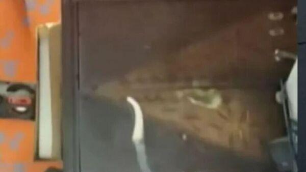LCD TV blast: ಎಲ್‌ಸಿಡಿ ಟಿವಿ ಸ್ಫೋಟಗೊಂಡು 16 ವರ್ಷದ ಬಾಲಕ ಸಾವು, ಟಿವಿ ಸ್ಫೋಟ ಏಕೆ?